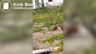 Pooping 1 - video 12