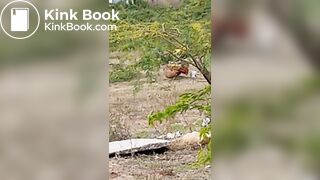 Pooping 1 - video 12