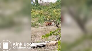 Pooping 1 - video 12