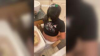 Toilet Recap
