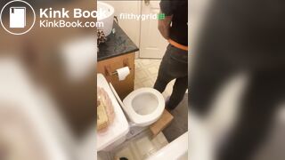 Toilet Recap