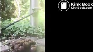 A thick turd in the yard..