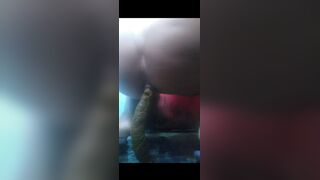 Pooping and peeing on the floor!