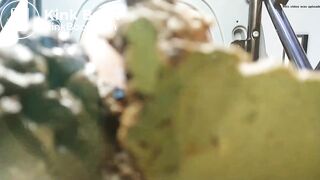 Hairy Woman Takes Big Shit On You