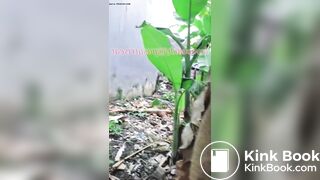 Girl pooping - video 349