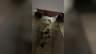 Chinese poop - video 28