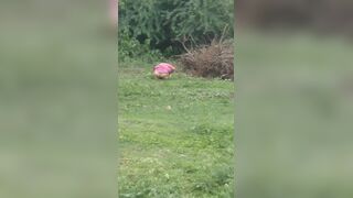 Aunty outdoor - video 4