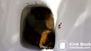 massive toilet shit