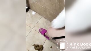 Live show piss and shit