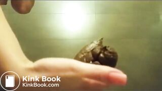 Three poops in sheer black panties