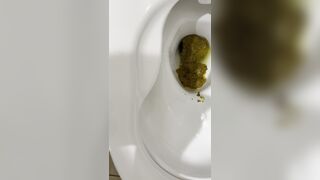 A GIRL FORGOT TO FLUSH