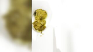 A GIRL FORGOT TO FLUSH