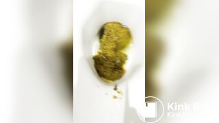 A GIRL FORGOT TO FLUSH