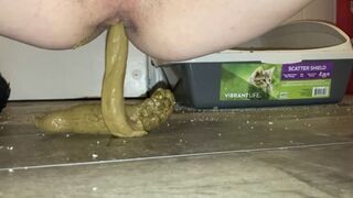 shit on the floor