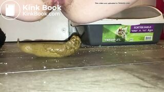 shit on the floor