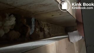 Chinese poop - video 29