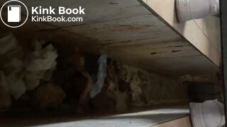 Chinese poop - video 29