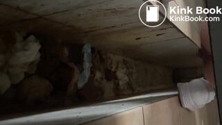 Chinese poop - video 29