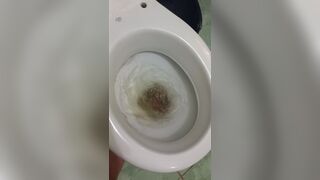 Woman tries to flush toilet, but feces won't go down