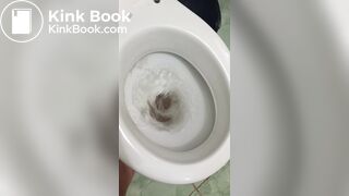 Woman tries to flush toilet, but feces won't go down