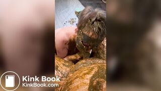 My Sub love Scat Games
