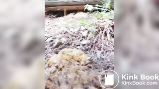 Korean girl pooping - video 14
