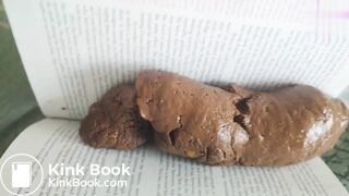 The Book Critic_ This book stinks!