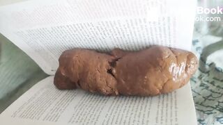 The Book Critic_ This book stinks!