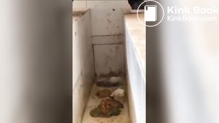 Girls poop in the toilet - video 2