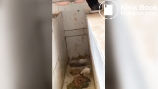Girls poop in the toilet - video 2