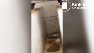 Girls poop in the toilet - video 2