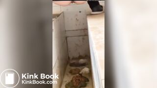 Girls poop in the toilet - video 2