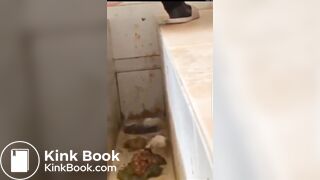Girls poop in the toilet - video 2