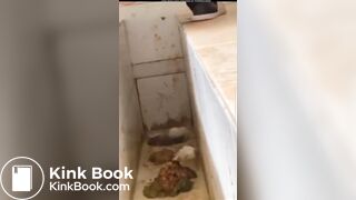 Girls poop in the toilet - video 2