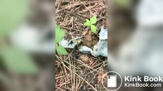 A Shit Hungry Animal Founded in the Wood