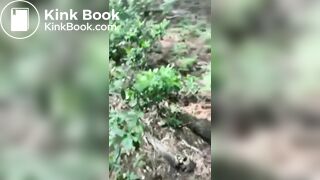 A Shit Hungry Animal Founded in the Wood