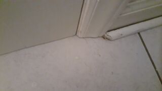 Toilet pooping - video 157