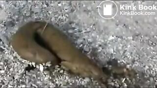 Japanese girl pooping outdoor - video 2