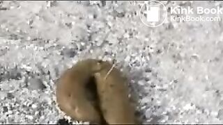 Japanese girl pooping outdoor - video 2