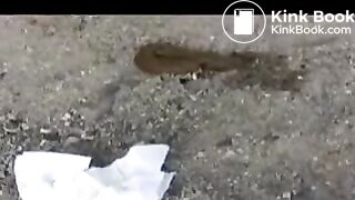 Japanese girl pooping outdoor - video 2