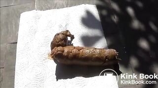 Nice poo on the front porch..