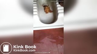 Desi aunty shitting in toilet