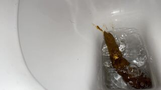 Long, soft and stinky turd