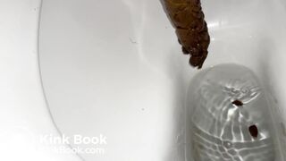 Long, soft and stinky turd