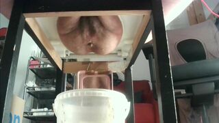 Poop and Pee - video 3