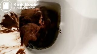 Fat log on the toilet