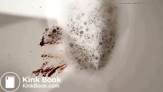 Fat log on the toilet