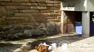 Hot model takes a big dump