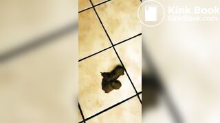 Black woman shitting on stall floor of public toilet - video 2