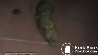 German girl pooping on a publc toilet..